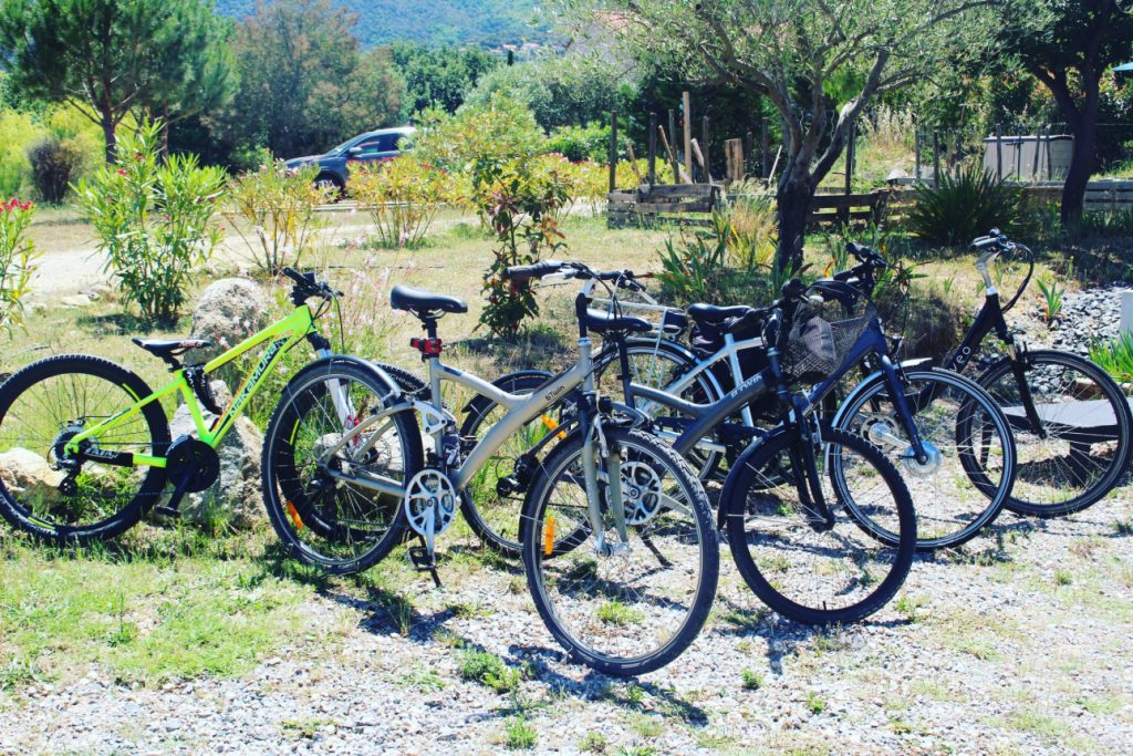 Prêt de vélo au Domaine Pedra Llampada