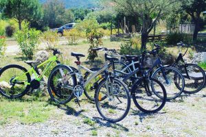 Prêt de vélo au Domaine Pedra Llampada