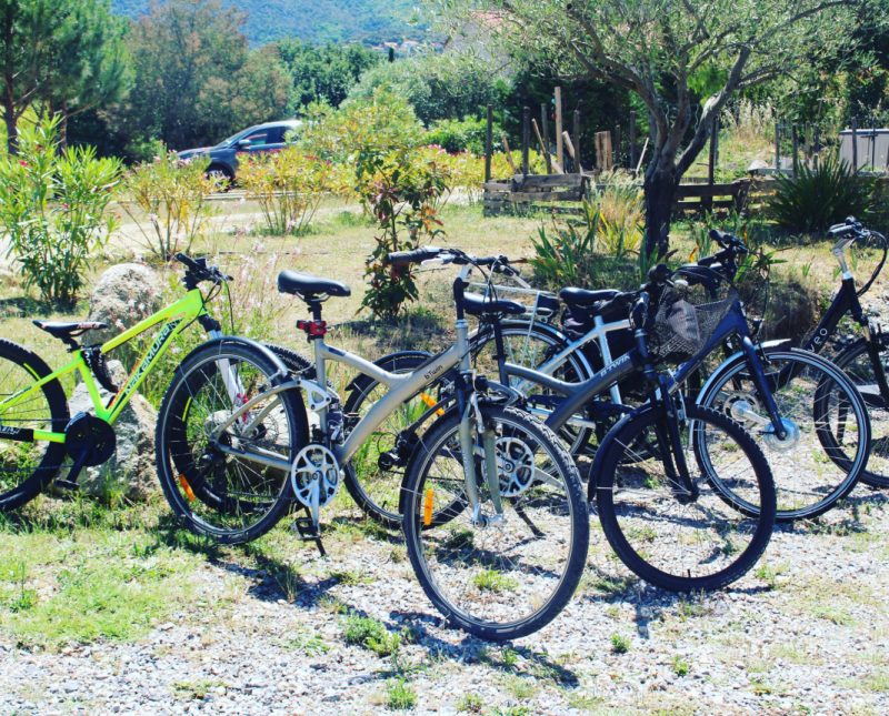 Bike loan at Domaine Pedra Llampada