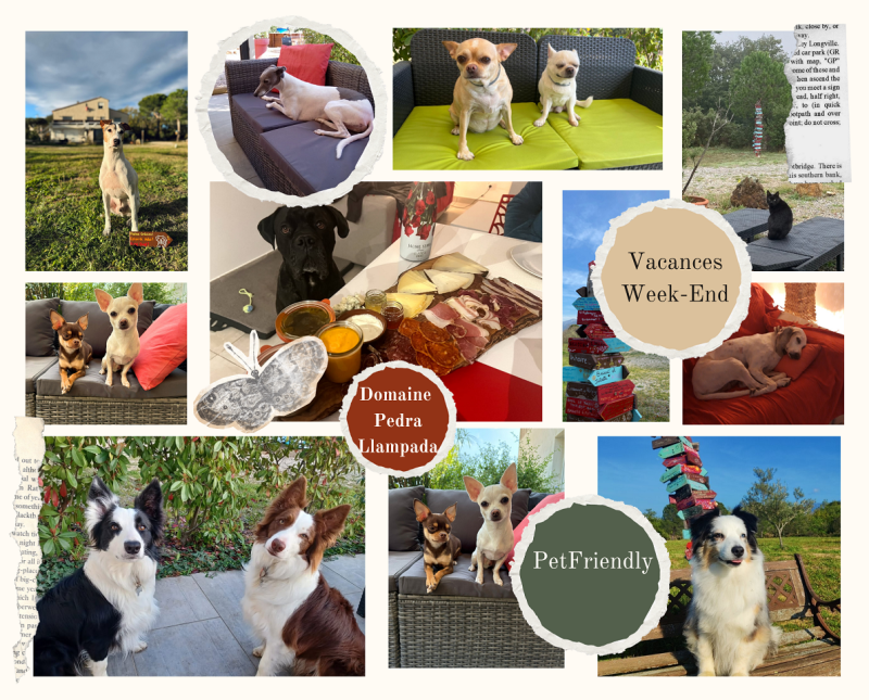 Petfriendly Vacances & Week-end au Domaine Pedra Llampada